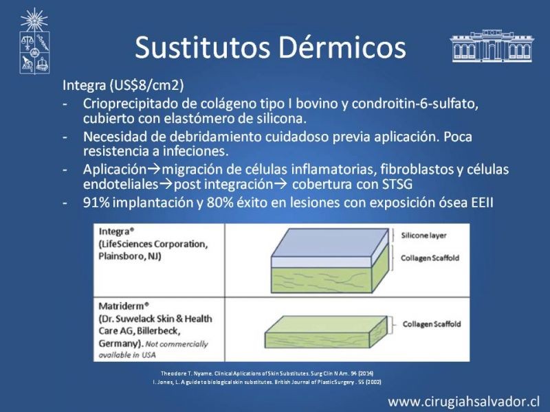 Diapositiva 18 de Sustitutos Dérmicos