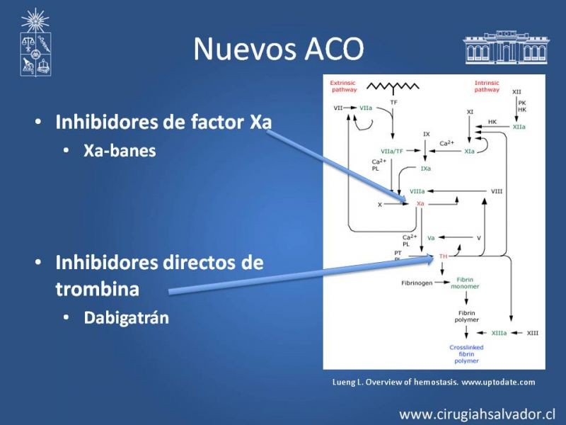 Diapositiva 4 de Nuevos anticoagulantes orales