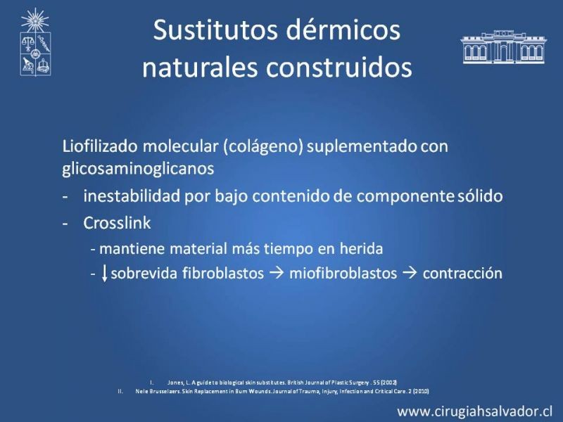Diapositiva 9 de Sustitutos Dérmicos