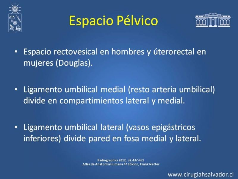 Diapositiva 32 de Anatomía Peritoneal y Retroperitoneal