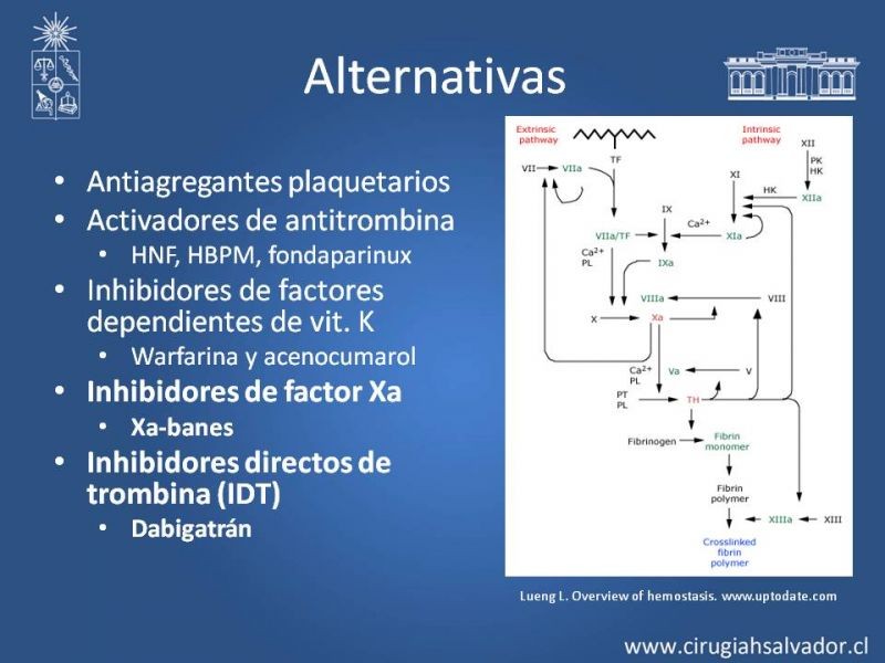Diapositiva 3 de Nuevos anticoagulantes orales