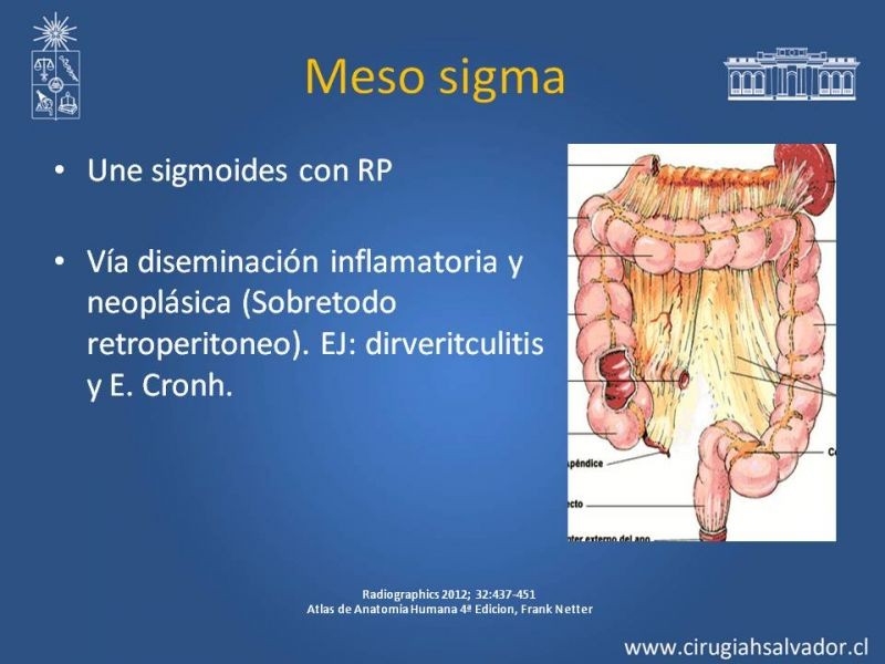 Diapositiva 22 de Anatomía Peritoneal y Retroperitoneal