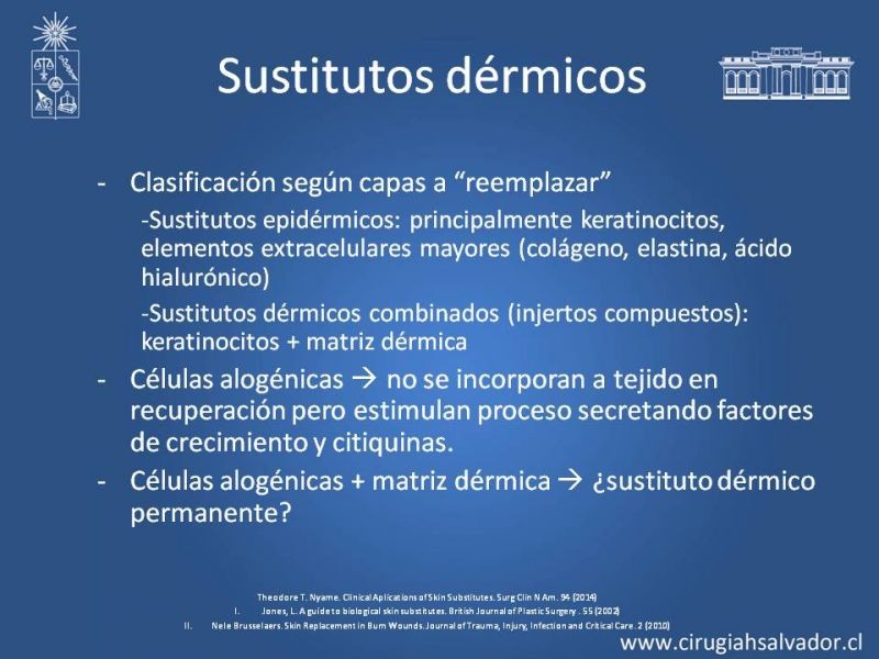 Diapositiva 7 de Sustitutos Dérmicos