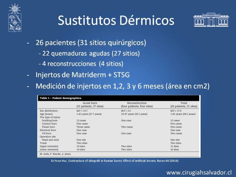 Diapositiva 25 de Sustitutos Dérmicos