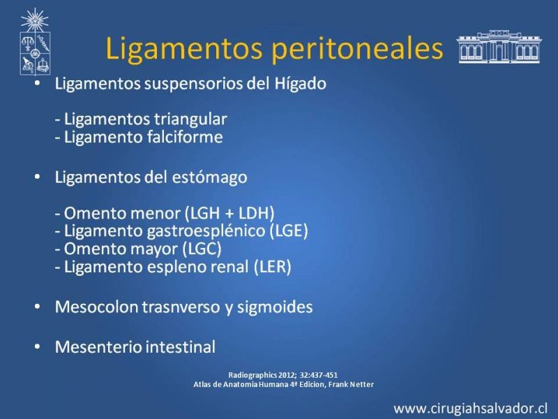 Diapositiva 8 de Anatomía Peritoneal y Retroperitoneal