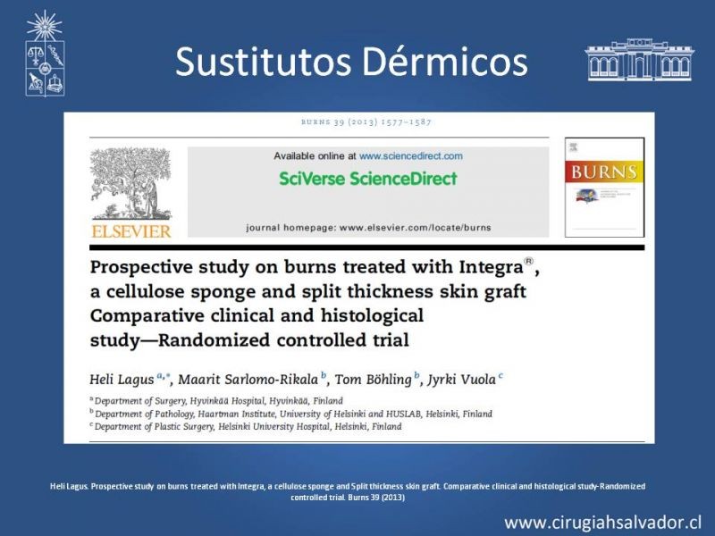 Diapositiva 28 de Sustitutos Dérmicos