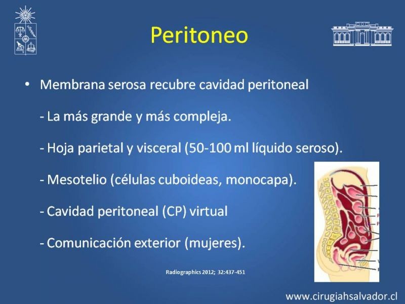 Diapositiva 1 de Anatomía Peritoneal y Retroperitoneal