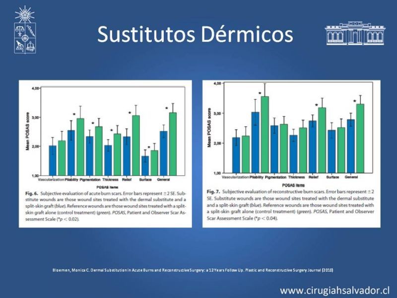 Diapositiva 37 de Sustitutos Dérmicos