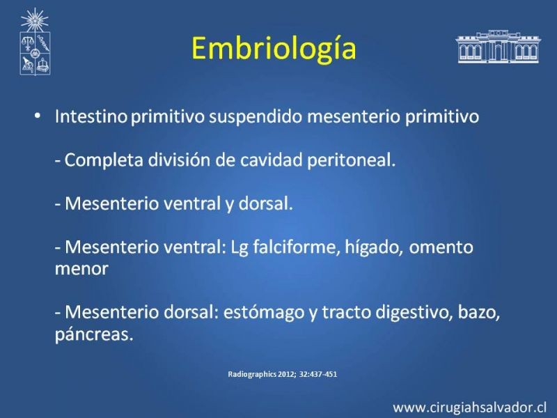 Diapositiva 4 de Anatomía Peritoneal y Retroperitoneal