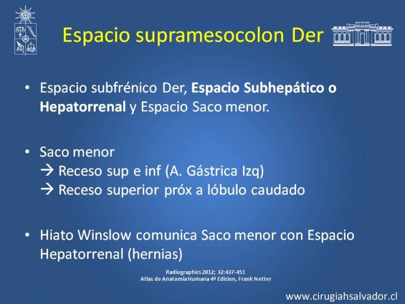 Diapositiva 26 de Anatomía Peritoneal y Retroperitoneal