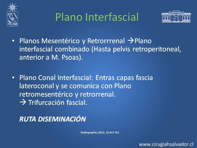 Diapositiva 47 de Anatomía Peritoneal y Retroperitoneal