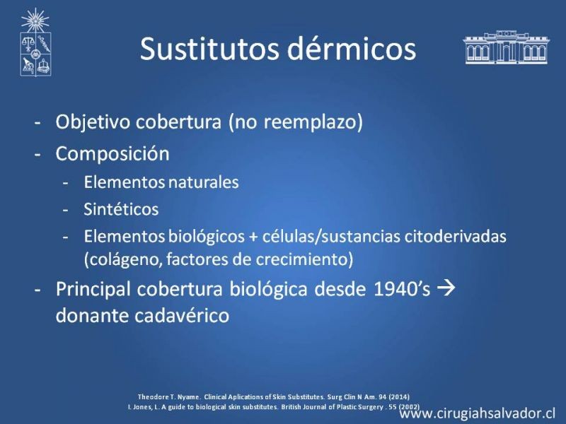 Diapositiva 6 de Sustitutos Dérmicos