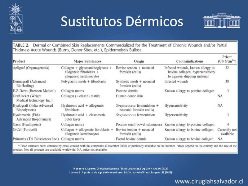 Diapositiva 23 de Sustitutos Dérmicos