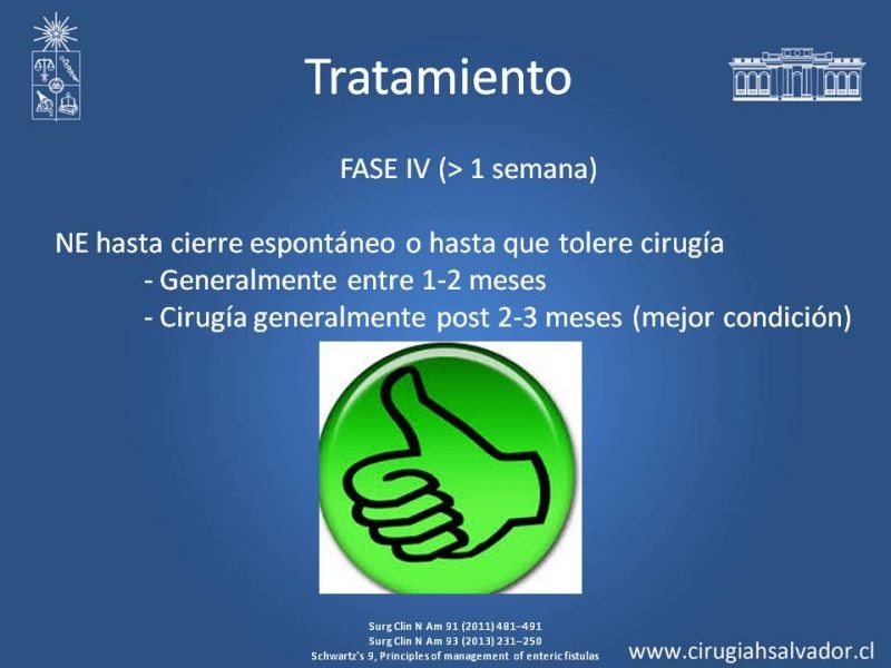 Diapositiva 14 de Fístulas Intestinales