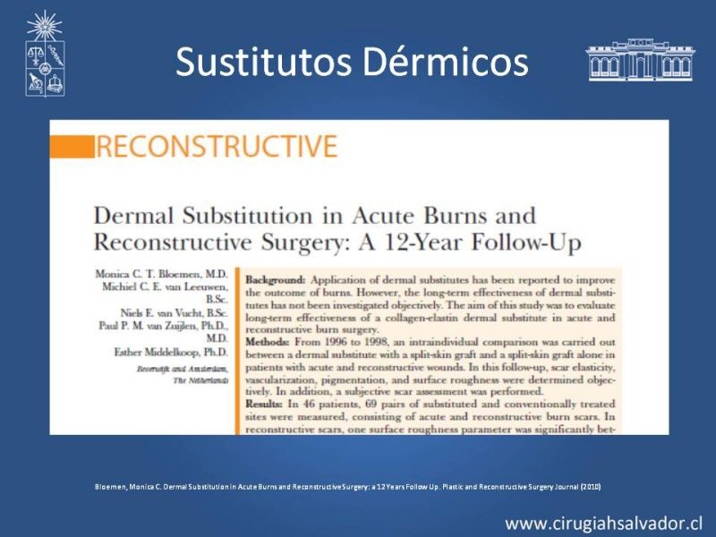 Diapositiva 32 de Sustitutos Dérmicos