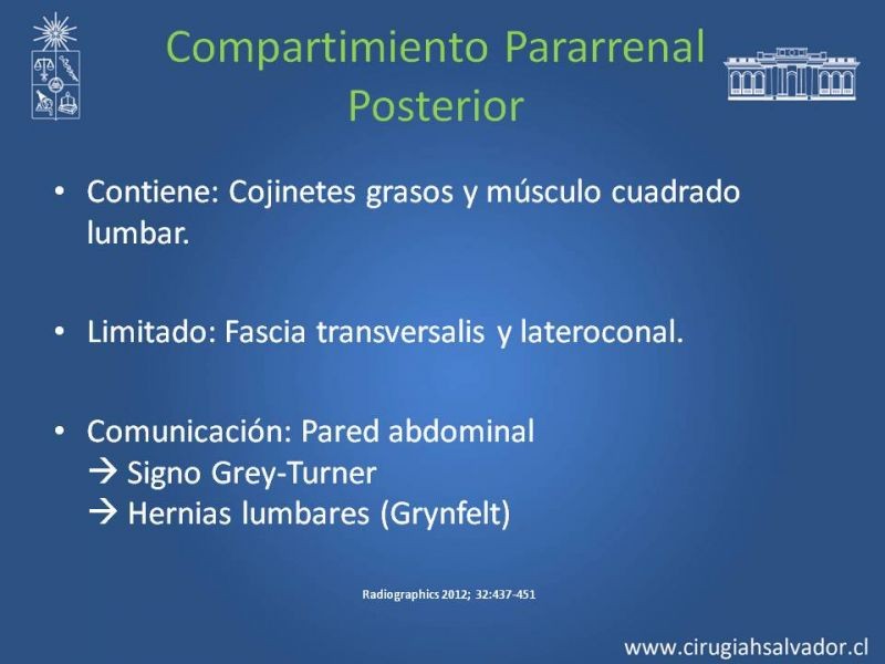 Diapositiva 41 de Anatomía Peritoneal y Retroperitoneal