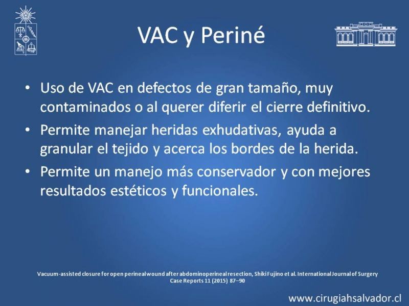 Diapositiva 6 de Reconstrucción Perinea
