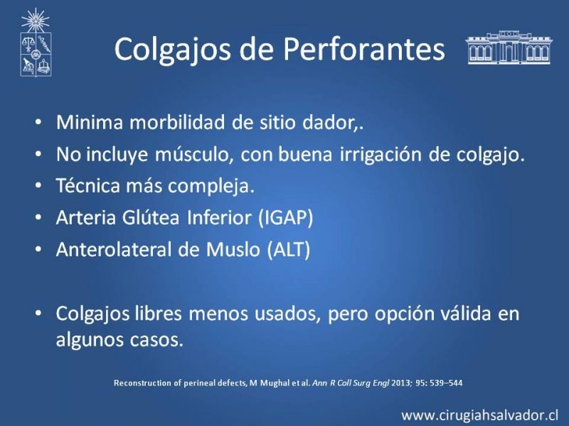 Diapositiva 27 de Reconstrucción Perinea