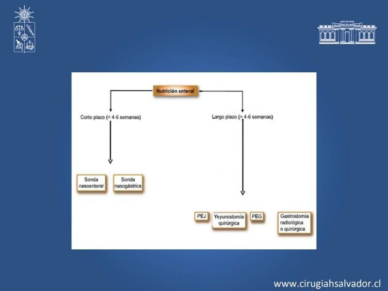 Diapositiva 7 de Nutrición enteral