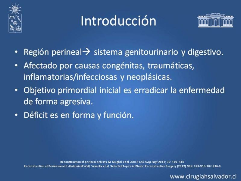 Diapositiva 3 de Reconstrucción Perinea