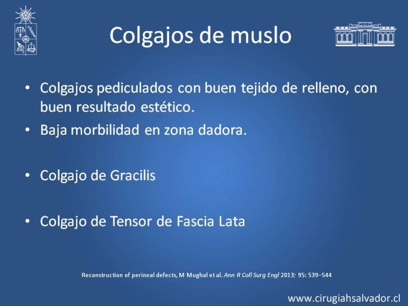 Diapositiva 19 de Reconstrucción Perinea