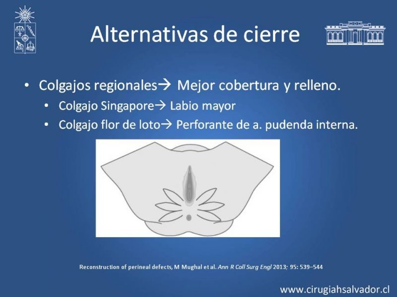 Diapositiva 10 de Reconstrucción Perinea