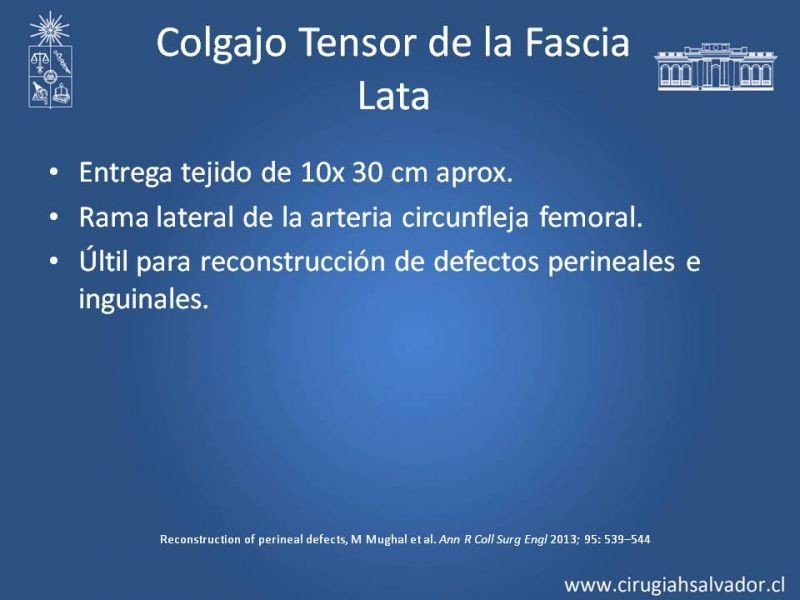 Diapositiva 25 de Reconstrucción Perinea