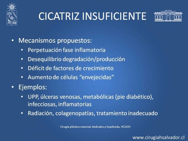 Diapositiva 6 de Cicatrices patológicas