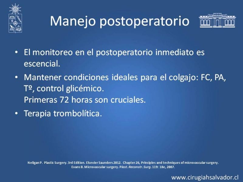 Diapositiva 19 de Colgajos Microquirúrgicos