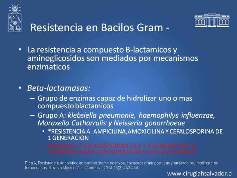 Diapositiva 8 de Bacterias Resistentes y Nuevos Antibióticos