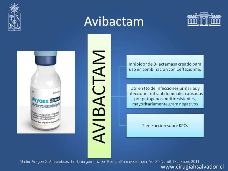 Diapositiva 16 de Bacterias Resistentes y Nuevos Antibióticos