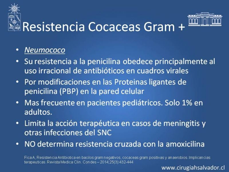 Diapositiva 12 de Bacterias Resistentes y Nuevos Antibióticos