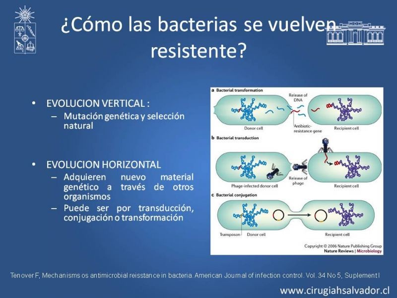 Diapositiva 7 de Bacterias Resistentes y Nuevos Antibióticos
