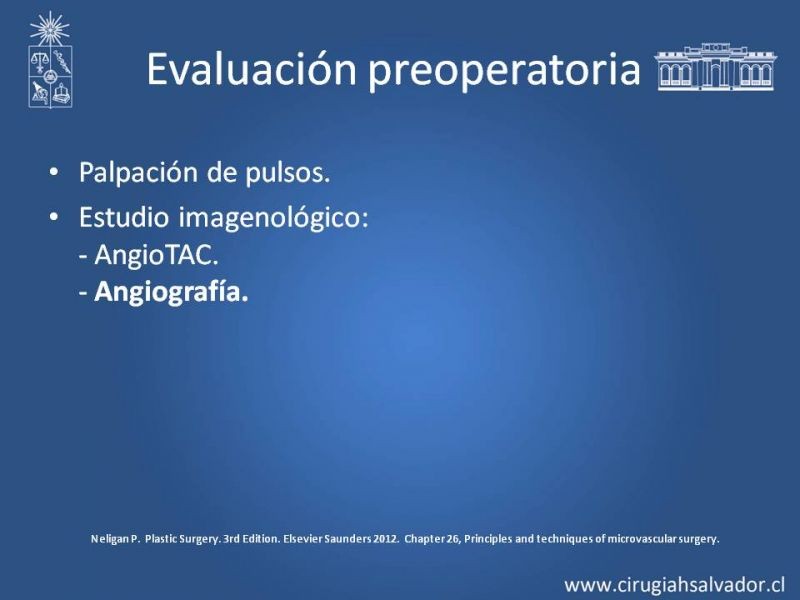 Diapositiva 8 de Colgajos Microquirúrgicos