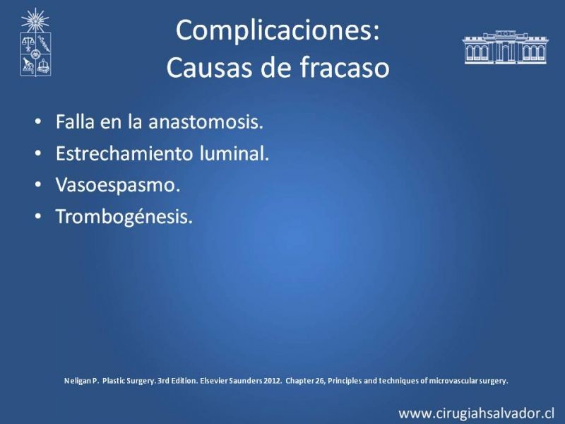 Diapositiva 29 de Principios Básicos de Microcirugía