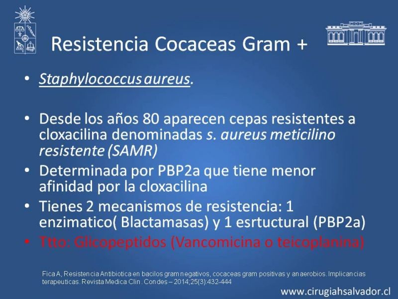Diapositiva 13 de Bacterias Resistentes y Nuevos Antibióticos