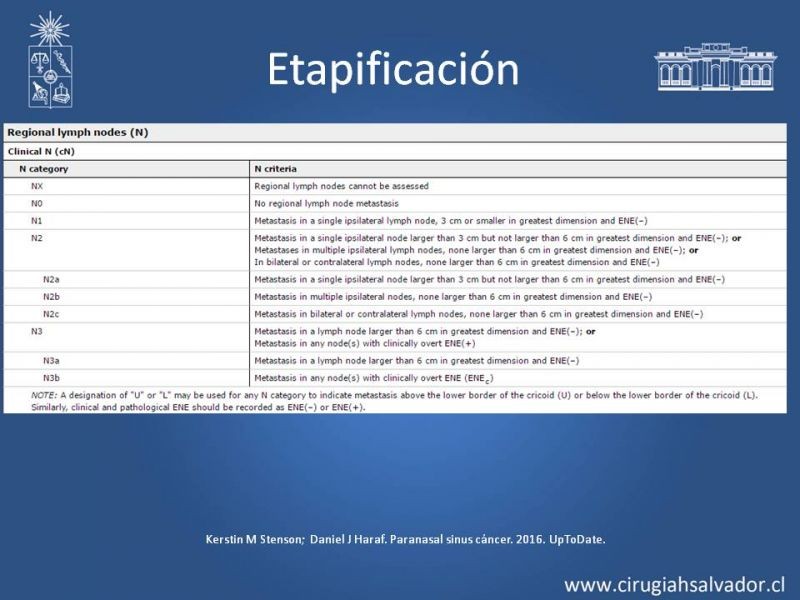 Diapositiva 12 de Tumores de Senos Maxilares