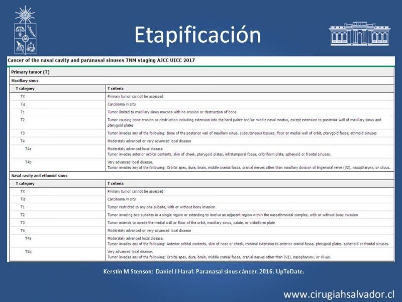 Diapositiva 11 de Tumores de Senos Maxilares