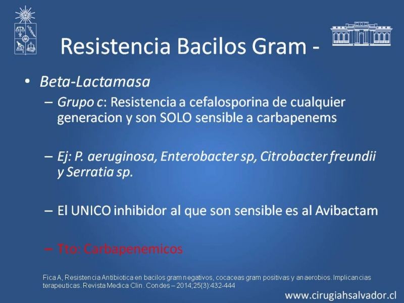 Diapositiva 10 de Bacterias Resistentes y Nuevos Antibióticos