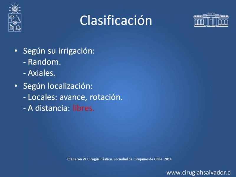 Diapositiva 4 de Colgajos Microquirúrgicos
