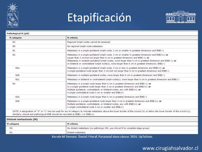 Diapositiva 13 de Tumores de Senos Maxilares
