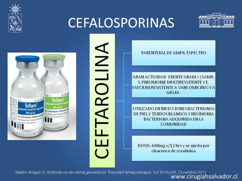 Diapositiva 17 de Bacterias Resistentes y Nuevos Antibióticos