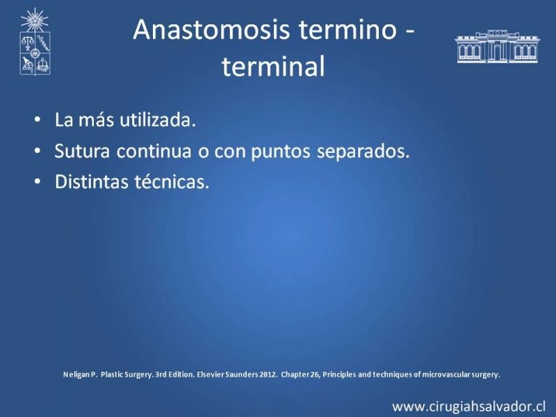 Diapositiva 19 de Principios Básicos de Microcirugía