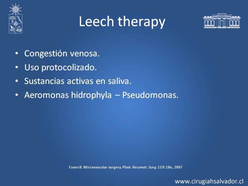Diapositiva 32 de Principios Básicos de Microcirugía