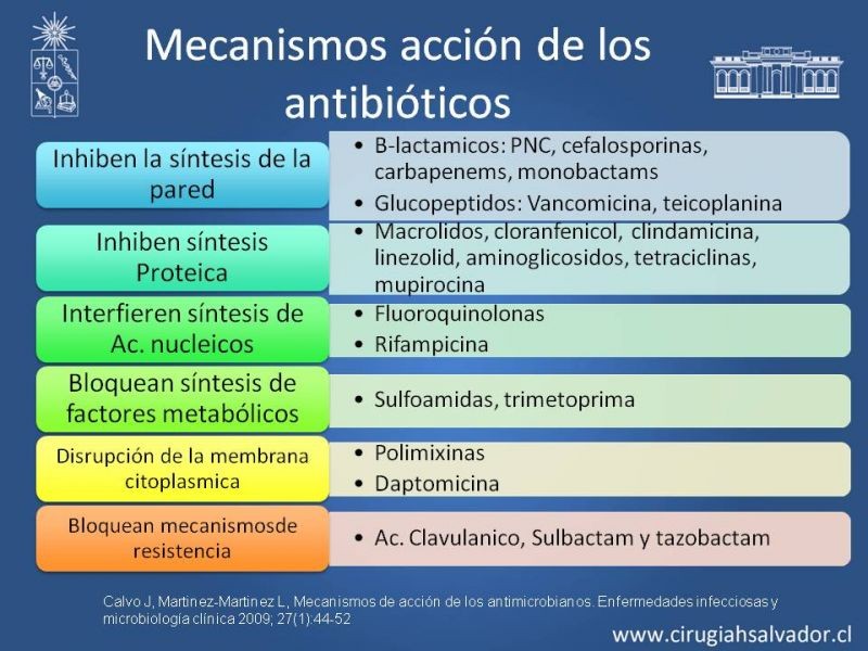 Diapositiva 4 de Bacterias Resistentes y Nuevos Antibióticos