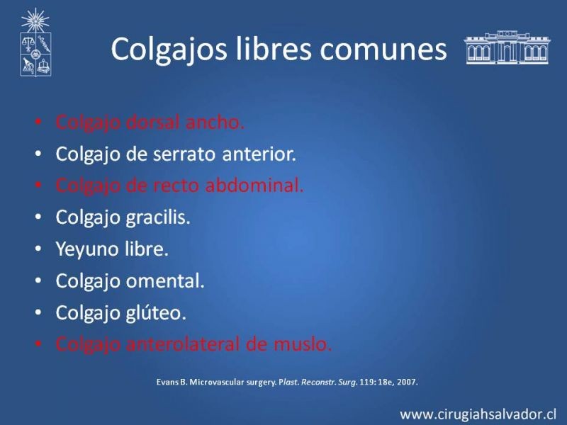 Diapositiva 12 de Colgajos Microquirúrgicos