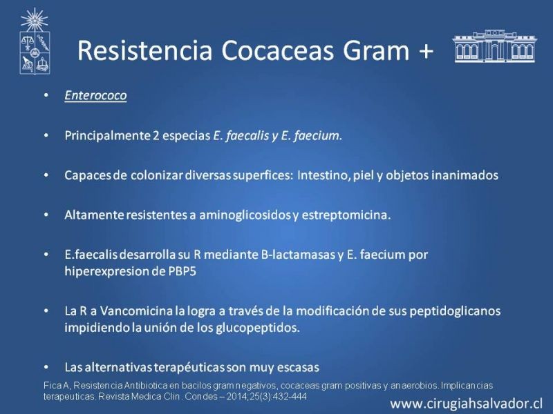 Diapositiva 14 de Bacterias Resistentes y Nuevos Antibióticos