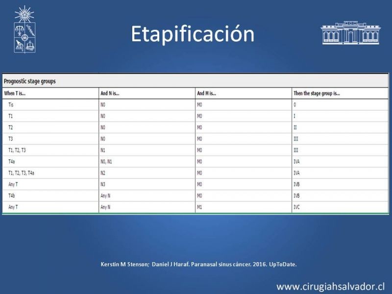 Diapositiva 14 de Tumores de Senos Maxilares