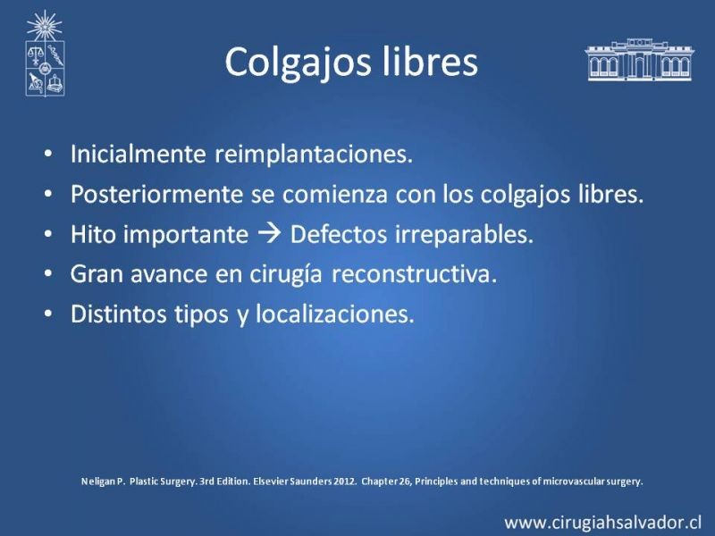 Diapositiva 9 de Colgajos Microquirúrgicos