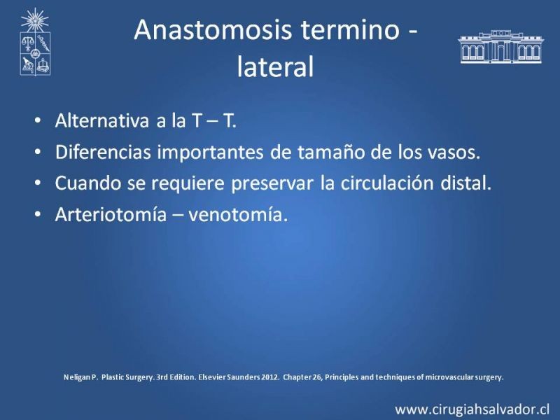 Diapositiva 21 de Principios Básicos de Microcirugía